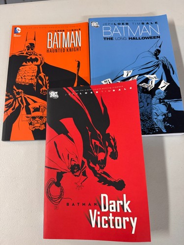 Batman dark victory haunted - dark, victory,