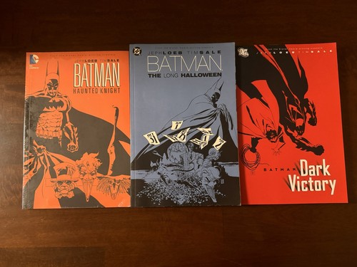 Batman haunted knight long - haunted,