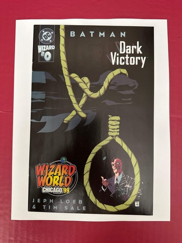 Batman dark victory - batman:,